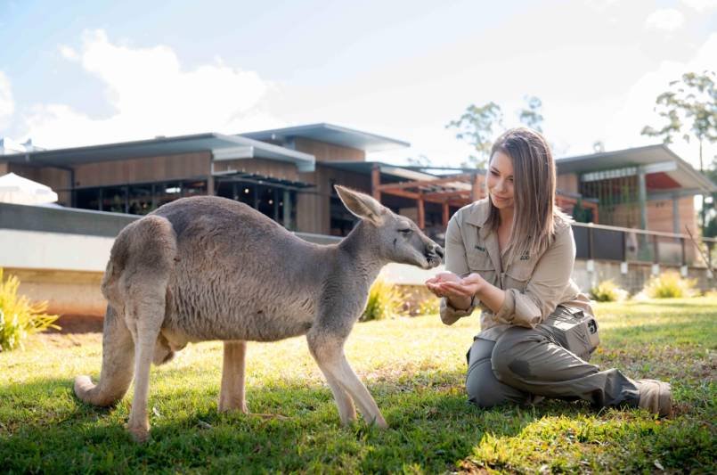 Bindi Irwin's Career and Professional Achievements