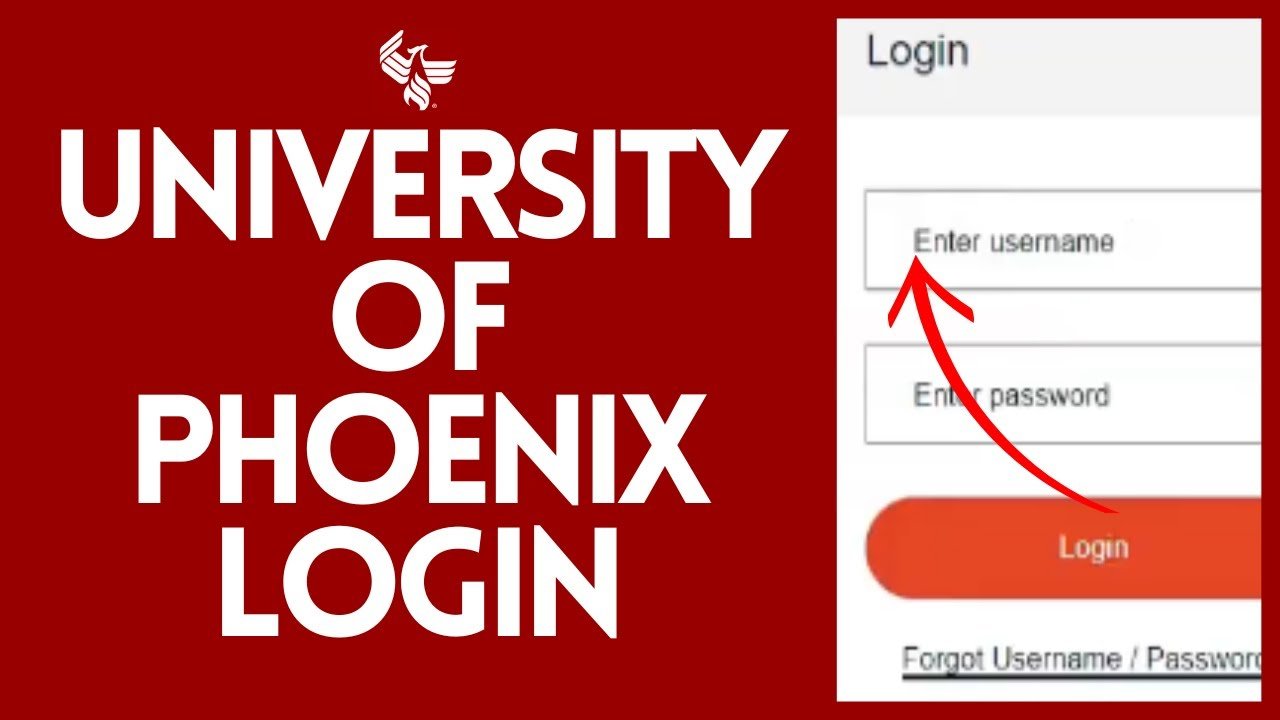 Complete MyPhoenix Login & Navigation Guide for UoPX Students