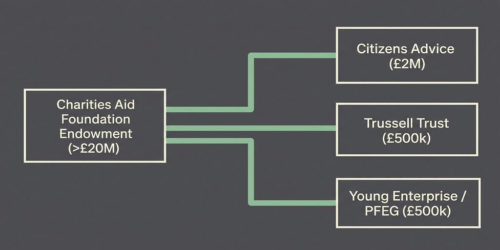 A financial capital flow diagram mapping Martin Lewis's twenty million pound philanthropic fund through the Charities Aid Foundation into Citizens Advice, The Trussell Trust, and Young Enterprise.